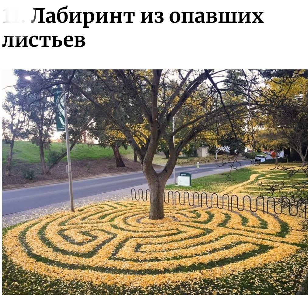 1000018926.jpg