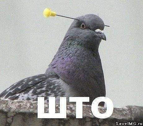 1790182883065.png
