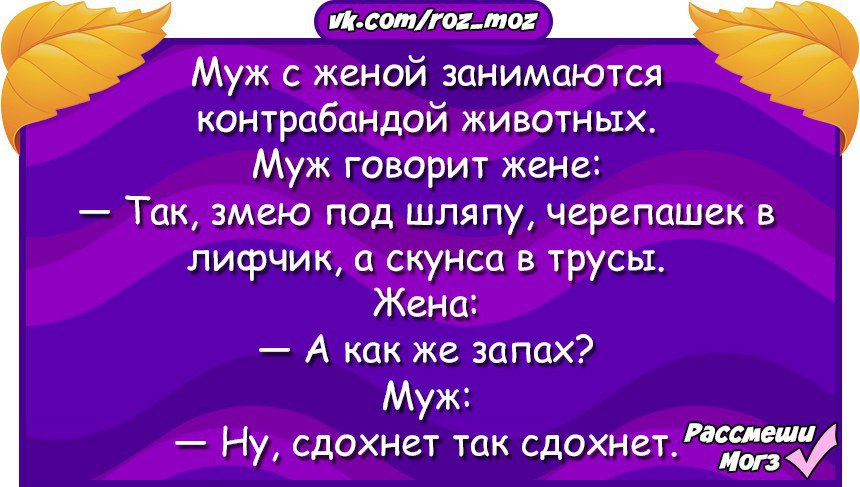 2584462762.jpg