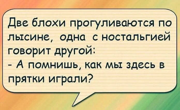 л.jpg
