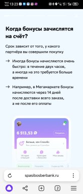 Screenshot_20240901_132326_com.yandex.browser.jpg