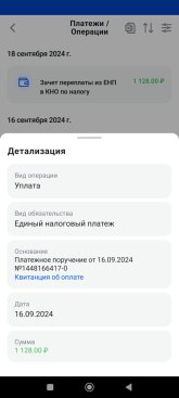 Screenshot_2024-09-20-09-36-37-477_ru.fns.lkfl.jpg