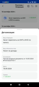 Screenshot_2024-09-20-09-36-58-870_ru.fns.lkfl.jpg