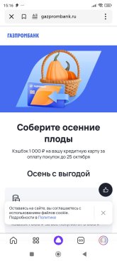 Screenshot_2024-09-25-15-16-16-657_ru.yandex.searchplugin.jpg