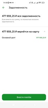 Screenshot_2024-12-13-19-58-58-178_ru.sberbankmobile.jpg