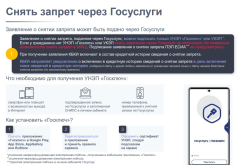 1740810843894.png