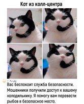 Ao5A1lHcn6fTRUxv6cltOH9J8yFPLTjKicvAW-WvaX9DOZsJ4CqHpSHXtSn20AnHIWYk43FXnNGMo13CnOMhPpit.jpg