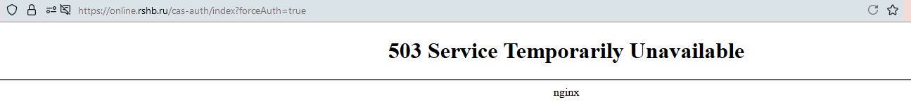 2025-03-13 12_05_07-503 Service Temporarily Unavailable — Mozilla Firefox.png