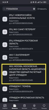Screenshot_2025-04-10-18-25-56-971_ru.beeline.services-edit.jpg