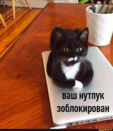 ф1.jpg