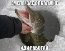 а1.jpg