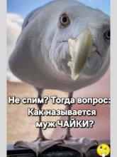 а4.jpg