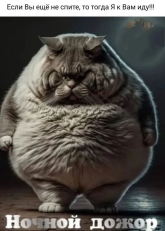 scale_1200.png