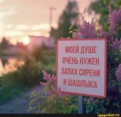 ш1.jpeg