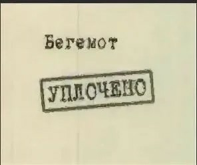 1746097624394.png