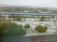 IMG_20250502_074618_227.jpg