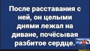 с1.jpeg