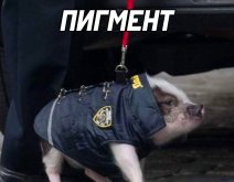 Dm43Mq25lV4.jpg