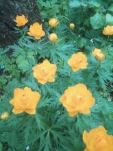 IMG_20250521_143603.jpg