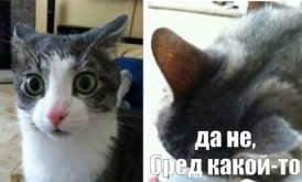 1747989885714.jpeg