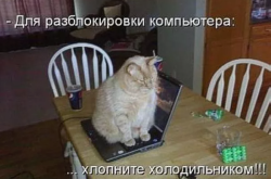 1748043134269.png