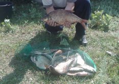 IMG_20160717_101643.jpg