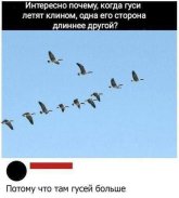 kHFN09w5knU.jpg