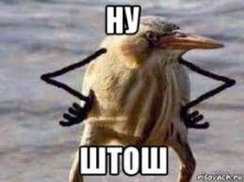 images.jpg