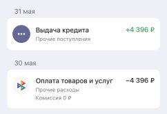 IMG_5984.jpeg