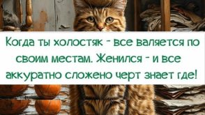 в1.jpg