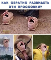 л1.png