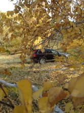 IMG_0522.jpg