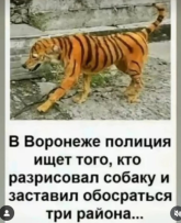 а1.png