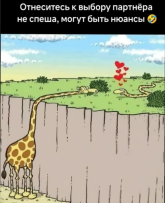 а2.png