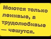 м1.jpg