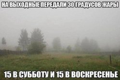 WhatsApp Image 2025-06-27 at 12.59.56.jpeg