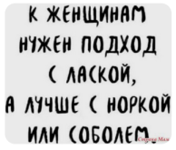 987952.png