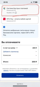 IMG_6131.jpeg