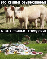 о.png