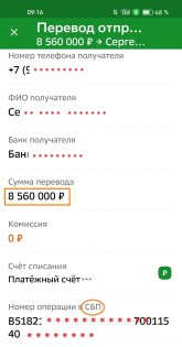 сбп.jpeg