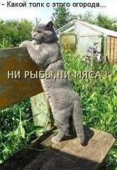 ж.jpg