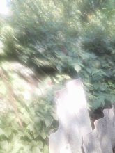 IMG_20250709_122522.jpg