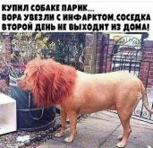 ж.jpg
