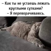 IMG_3273.jpeg