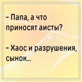 в.jpg