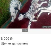 1752821430160.jpg