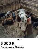 1752821481257.jpg