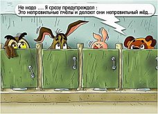 IMG_3293.jpeg