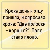 дд.jpg