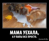 IMG_3312.jpeg